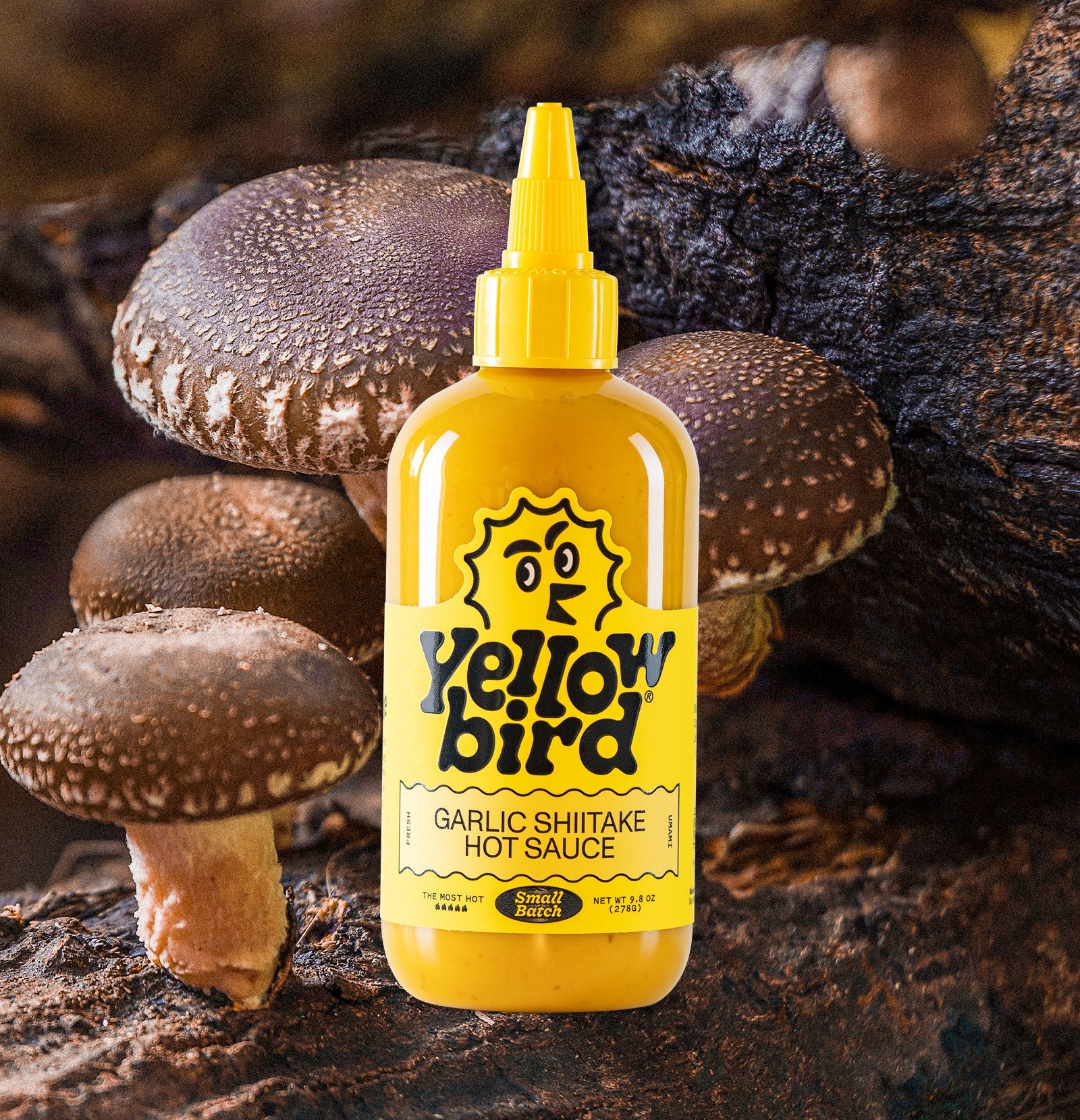 Shiitake Garlic Hot Sauce C9
